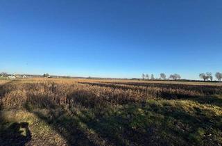 Gewerbeimmobilie kaufen in 8490 Bad Radkersburg, Ackerfläche Nähe Bad Radkersburg