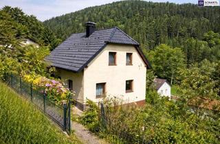 Einfamilienhaus kaufen in Karnerviertel, 8251 Karnerviertel, SANIERUNGS-SCHNÄPPCHEN mit neuem Dach & neuer Pelletheizung – Echte Gelegenheit am Hochwechsel – ein Haus voller Möglichkeiten