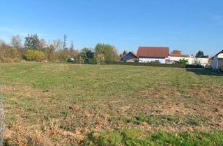 Grundstück zu kaufen in Halbenrainerstrasse, 8490 Bad Radkersburg, Top Gewerbegrundstück ab 3.720 -8.500m² Bad Radkersburg, Zufahrt B69, Grenznähe