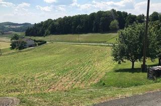 Grundstück zu kaufen in 8380 Grieselstein, Baugrund Nähe Therme Loipersdorf mit herrlichem Ausblick über das grüne Tal