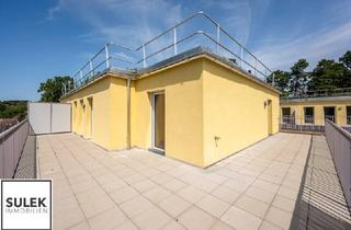 Wohnung mieten in Kabanenweg, 3040 Neulengbach, Neulengbach | Erstbezug | Miete | Haus 1 - Top 10 | 3 Zimmer Dachgeschoß mit 48 m² Terrasse