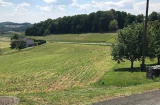 Grundstück zu kaufen in 8380 Jennersdorf, Baugrund Nähe Therme Loipersdorf mit herrlichem Ausblick über das grüne Tal