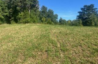 Grundstück zu kaufen in 7423 Pinkafeld, BAUGRUNDSTÜCK am ORTSRAND in Grünruhelage