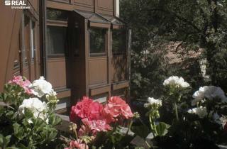 Wohnung kaufen in 2340 Mödling, Licht. Raum. Lebensqualität.