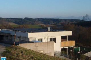 Haus kaufen in 4904 Atzbach, Modernes Zweifamilien-Haus² mit Traunsteinblick "All Inklusive"
