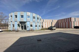 Gewerbeimmobilie mieten in 2011 Sierndorf, Industriehalle im Gewerbepark Sierndorf – 1.637 m² | Meisterkojen | Deckenkran | 30 Min. Wien