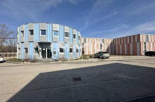 Immobilie mieten in 2011 Sierndorf, Industriehalle im Gewerbepark Sierndorf – 1.637 m² | Meisterkojen | Deckenkran | 30 Min. Wien