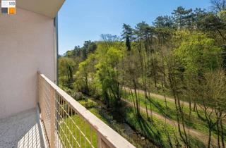 Wohnung kaufen in 2391 Kaltenleutgeben, ++ XL Wohnung mit Blick in den Wald I MB IMMOBILIEN ++