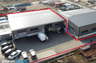 Gewerbeimmobilie kaufen in 2504 Sooß, Gewerbehallen zur Eigennutzung oder als Renditeobjekt