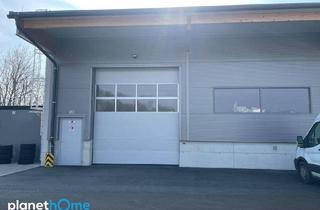 Büro zu mieten in 2504 Sooß, Betriebshalle zur Miete