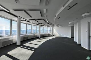 Büro zu mieten in 1200 Wien, Arbeiten mit Aussicht im Millenniumtower