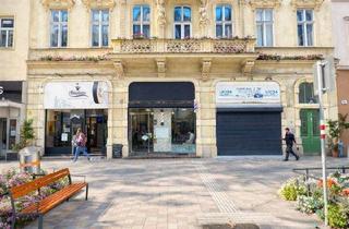 Gewerbeimmobilie kaufen in 1020 Wien, Anlagepaket mit 5 Geschäftslokale & 1 Wohnung – stabile Mieteinnahmen – attraktive Rendite 5,25%