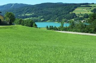Büro zu mieten in 4893 Zell am Moos, Büro mit 2 Räume, Terasse + Gartenanteil mit Küche und Bad in herrlicher Grünruhelage Nähe Irrsee.