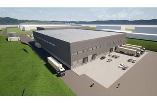 Büro zu mieten in 3382, Hoferstraße, 3382 Loosdorf, 3382, Hoferstraße Neubau - Projekt |Logistikzentrum Loosdorf Logistikimmobilie – direkt an der A1