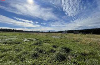 Grundstück zu kaufen in 8151 Hitzendorf, Bauen Sie! Bauen Sie! Ebener Grund mit schöner Aussicht