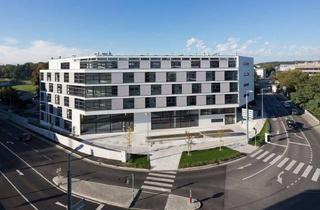 Wohnung mieten in Siegfried Ludwig-Platz, 3100 Sankt Pölten, ST. PÖLTEN XII/1 - Betreutes Wohnen, "Betreutes Wohnen (BV)" - geförderte Mietwohnung, EG TOP 9, 1000/00010630/00001109