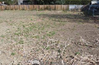 Grundstück zu kaufen in 3433 Königstetten, "Grund genug!"