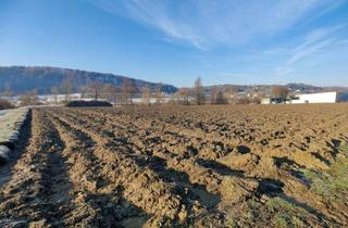 Grundstück zu kaufen in 8311 Markt Hartmannsdorf, Vielseitiges Grundstück mit Gewerbe-, Entwicklungs- und Landwirtschaftsflächen in Markt Hartmannsdorf