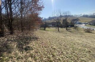 Grundstück zu kaufen in 7534 Olbendorf, Wunderschönes Baugrundstück mit Aussicht