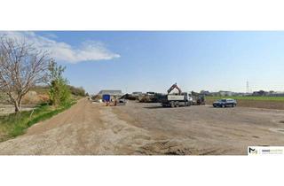  in Egri-Straße, 2333 Leopoldsdorf, 3000 m2 langfristig zu mieten & Hallenbau möglich