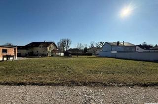 Grundstück zu kaufen in 4614 Marchtrenk, Marchtrenk - Super ruhig gelegenes Grundstück - Voll aufgeschlossen