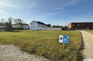 Grundstück zu kaufen in 4614 Marchtrenk, Marchtrenk - Super ruhig gelegenes Grundstück - Voll aufgeschlossen