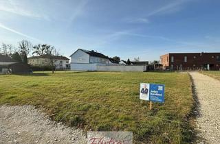 Grundstück zu kaufen in 4614 Marchtrenk, Marchtrenk - Super Ruhig Gelegenes Grundstück - Voll Aufgeschlossen