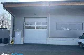 Lager mieten in 2504 Sooß, Betriebshalle zur Miete