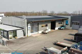 Lager kaufen in 2504 Sooß, Gewerbehallen zur Eigennutzung oder als Renditeobjekt