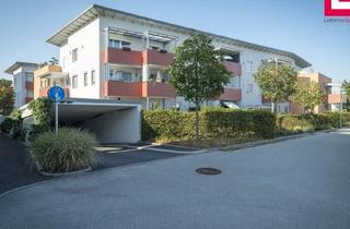 Genossenschaftswohnung in Theodor-Körner-Straße 13/2, 4050 Traun, Tolle 3-Zimmer Wohnung in Traun mit Loggia und TG-Abstellplatz