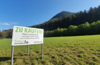 Grundstück zu kaufen in 4645 Grünau im Almtal, Baugrund mit Zweitwohnsitzwidmung!