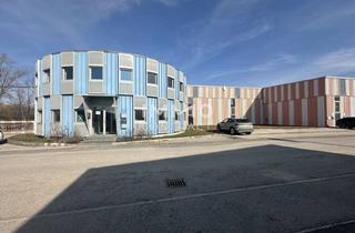 Lager mieten in 2011 Sierndorf, Industriehalle im Gewerbepark Sierndorf - 1.637 m² | Meisterkojen | Deckenkran | 30 Min. Wien