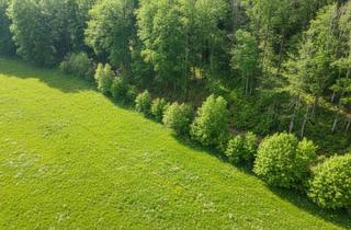 Grundstück zu kaufen in 4645 Grünau im Almtal, Großzügiges Grundstück im Grünen - Bauland & Landwirtschaft vereint