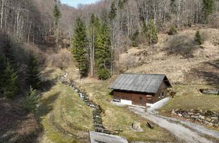 Gewerbeimmobilie kaufen in 3283 Grafenmühl, Ca. 16 ha Vielseitige Land- und Forstwirtschaftsflächen im Sackgraben – Gnadenberg