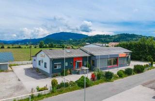 Gewerbeimmobilie kaufen in 9063 Klagenfurt, *** Ihr neuer Firmenstandort in Maria Saal *** Gewerbeobjekt mit Hallen & Büroflächen