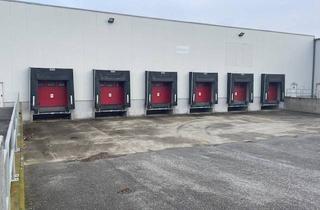 Gewerbeimmobilie mieten in 7111 Parndorf, Lager- Logistik- Produktionshalle, 6 Andockrampen