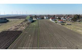 Grundstück zu kaufen in 2425 Nickelsdorf, Ihr Baugrund am Ortsrand - großzügiges Grundstück mit naturnahem Wohngefühl