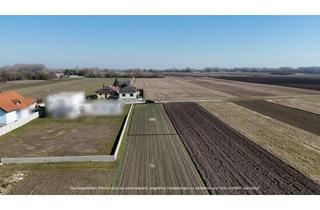 Grundstück zu kaufen in 2425 Nickelsdorf, Ruhiges Baugrundstück am Ende einer Sackgasse - 660 m² in Nickelsdorf