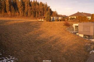 Grundstück zu kaufen in 9556 Liebenfels, Baugrundstück in begehrter Wohnlage in Liebenfels