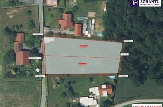 Grundstück zu kaufen in 8541 Schwanberg, Attraktives Baugrundstück am Sonnenhang – 1.481,45 m²