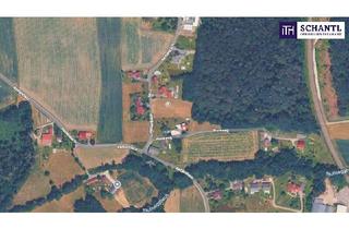 Grundstück zu kaufen in 8541 Schwanberg, Idyllisches Baugrundstück in sonniger Lage – 1.553,07 m²