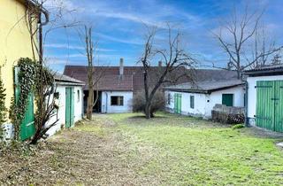 Bauernhäuser zu kaufen in Unterdürnbach, 3721 Limberg, BAUERNHOF MIT MEHREREN GEBÄUDEN - PRESSHAUS& GEWÖLBEKELLERN – SANIERUNGSBEDARF MIT VIEL POTENZIAL