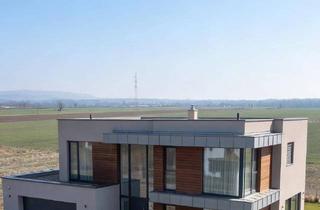 Grundstück zu kaufen in Ackerweg, 2486 Siegersdorf, Baugrund OHNE Bauzwang - bauen wann du willst " 802m² "