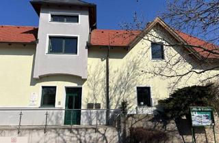 Büro zu mieten in 2352 Gumpoldskirchen, Schönes Büro/Praxis - Gemeinschaftsbüro/Praxis möglich - Gumpoldskirchen neben Parkplatz