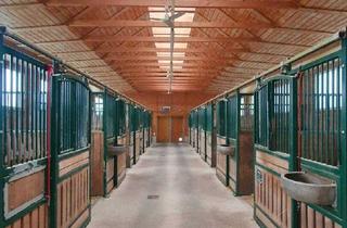 Haus kaufen in 4971 Aurolzmünster, Wohnhaus, neuwertiges Pferdegestüt, eigene Zufahrt und Trainingsbahn!