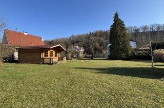 Grundstück zu kaufen in 4055 Pucking, Großzügiges Baugrundstück ohne Bauverpflichtung