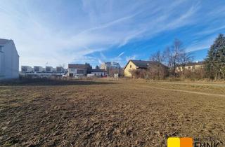 Grundstück zu kaufen in Jedlersdorfer Straße, 1210 Wien, Zwei nebeneinander liegende, sonnige Baugrundstücke in Stammersdorf