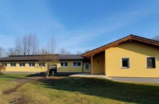 Haus kaufen in 4971 Aurolzmünster, Wohnhaus, neuwertiges Pferdegestüt, eigene Zufahrt und Trainingsbahn!