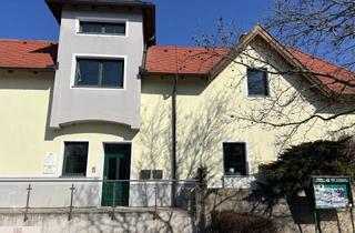 Büro zu mieten in 2352 Gumpoldskirchen, Schönes Büro/Praxis - Gemeinschaftsbüro/Praxis möglich - Gumpoldskirchen neben Parkplatz