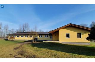 Haus kaufen in 4971 Aurolzmünster, Wohnhaus, neuwertiges Pferdegestüt, eigene Zufahrt und Trainingsbahn!